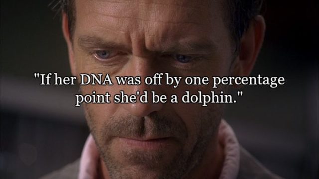 14 Quotes From the Show House That Sum Life up Pretty Well