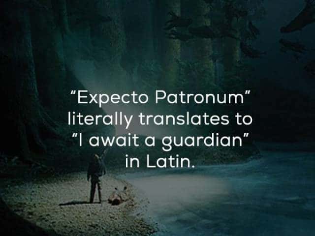 20 Magical Facts about the Harry Potter Books and Films