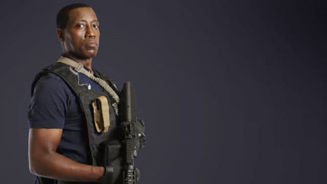 Will Armed Response Bring Wesley Snipes All the Way Back?