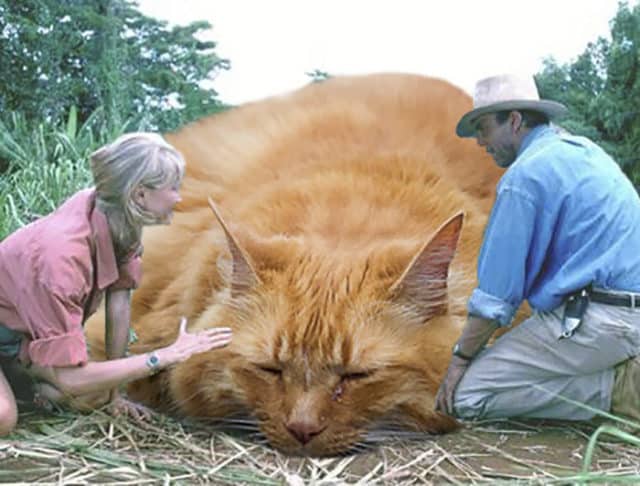 Replacing All Of The Dinosaurs In Jurassic Park With Cats