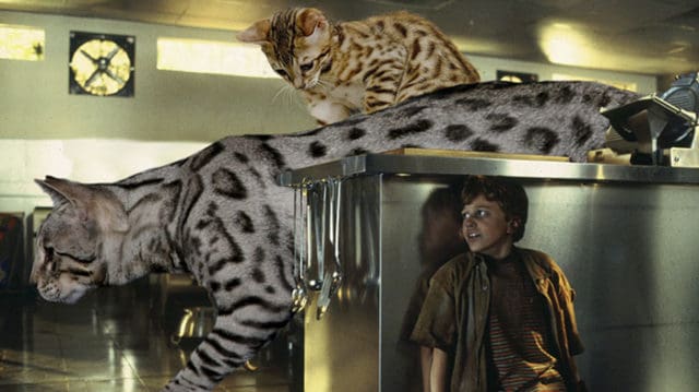 Replacing All Of The Dinosaurs In Jurassic Park With Cats