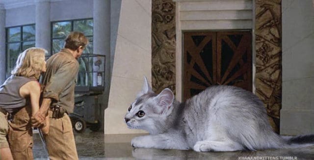 Replacing All Of The Dinosaurs In Jurassic Park With Cats