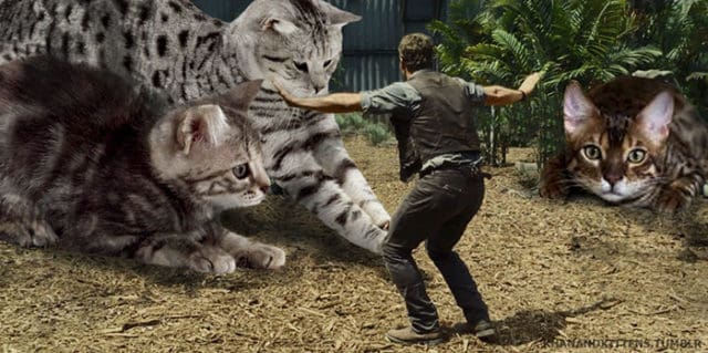 Replacing All Of The Dinosaurs In Jurassic Park With Cats