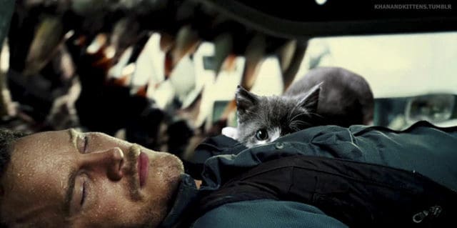 Replacing All Of The Dinosaurs In Jurassic Park With Cats