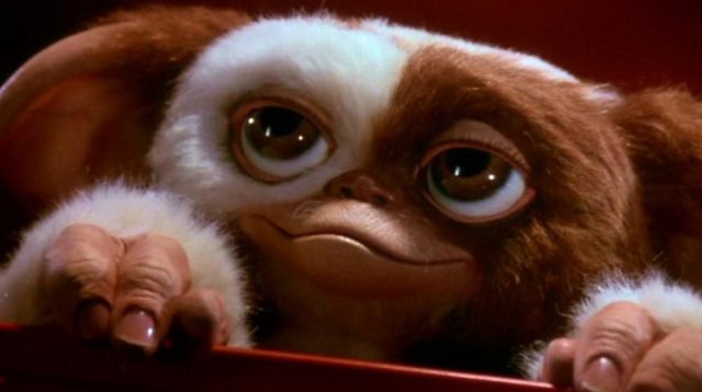 A Dark and Twisted Gremlins 3 Might Be on the Horizon