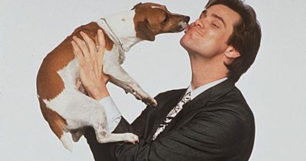 The Top Five Performances by Real Dogs in Movies