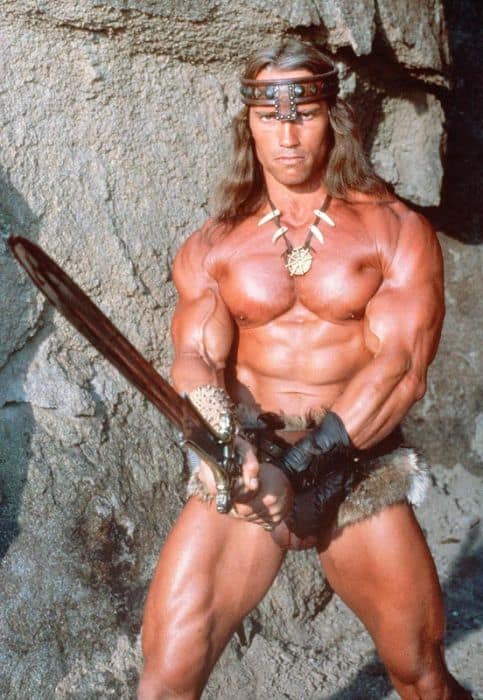 Arnold Schwarzenegger: 50 Different Roles From His 44 Year Career