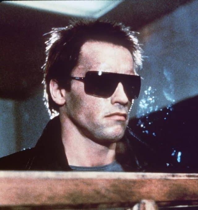 Arnold Schwarzenegger: 50 Different Roles From His 44 Year Career