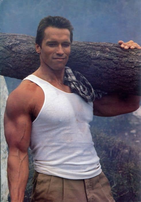 Arnold Schwarzenegger: 50 Different Roles From His 44 Year Career