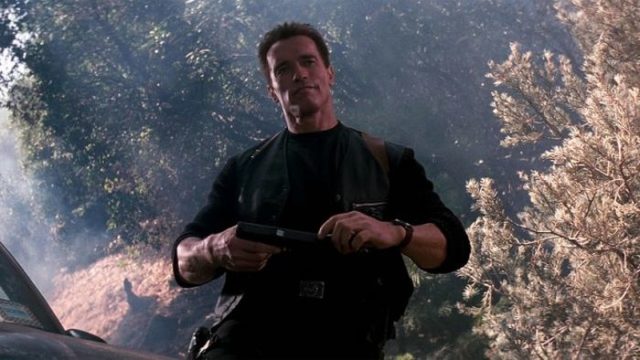 Arnold Schwarzenegger: 50 Different Roles From His 44 Year Career