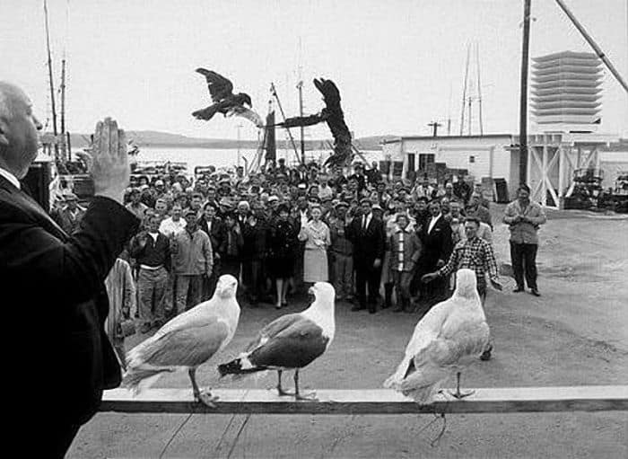 Amazing Behind the Scenes Shots from Alfred Hitchcock Sets