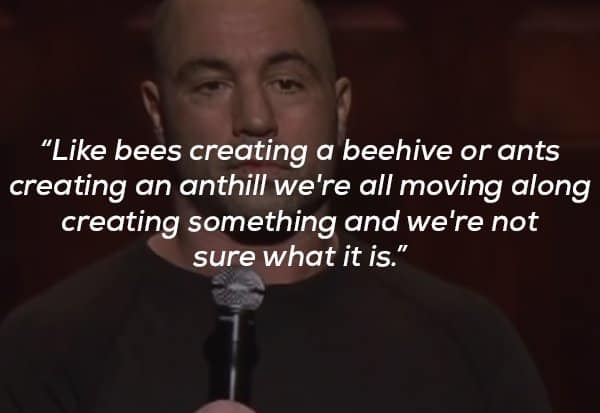 Joe Rogan Really Knows How to Give Life Advice