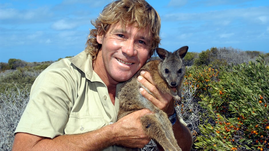 Watch Steve Irwin Stay Extremely Calm after Being Bit by a Snake on a 90s TV Show