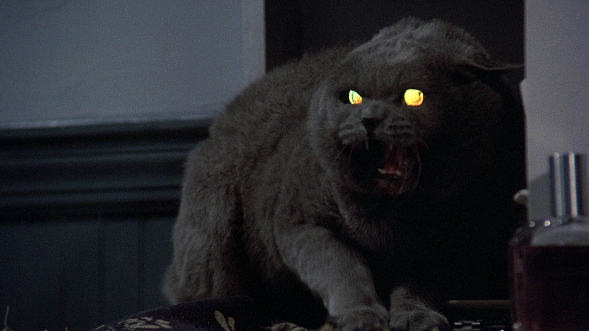 10 Things You Didn’t Know about Pet Sematary