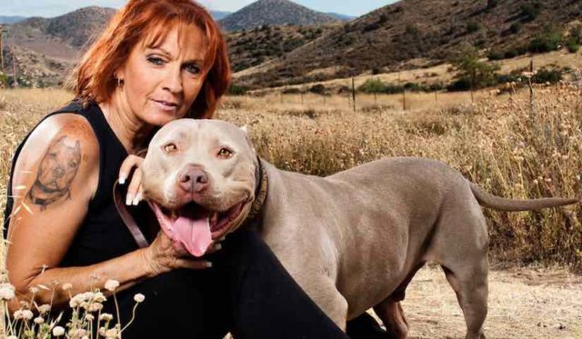 Why You Should Be Watching &#8220;Pit Bulls and Parolees&#8221;