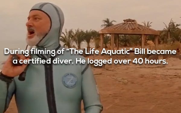 17 Cool Facts About Iconic Bill Murray Movies