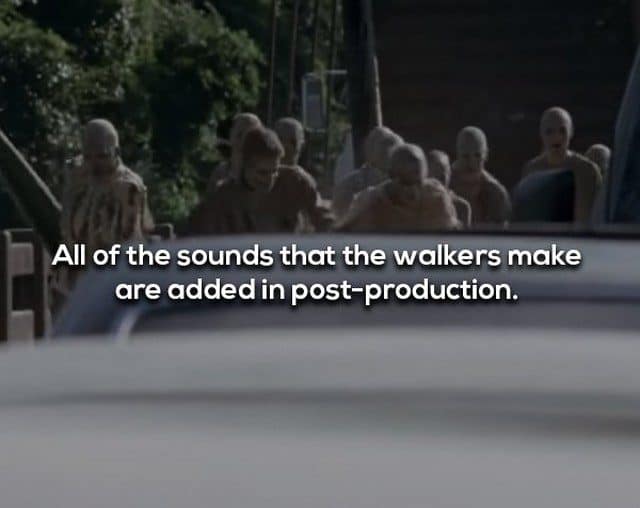 18 Cool Facts About The Walking Dead You Might Not Know