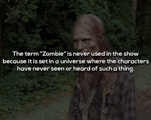 18 Cool Facts About The Walking Dead You Might Not Know