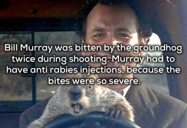 17 Cool Facts About Iconic Bill Murray Movies