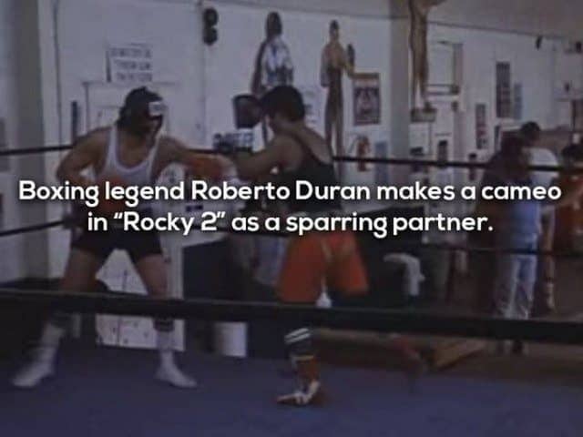 24 Awesome Facts About the Rocky Movies