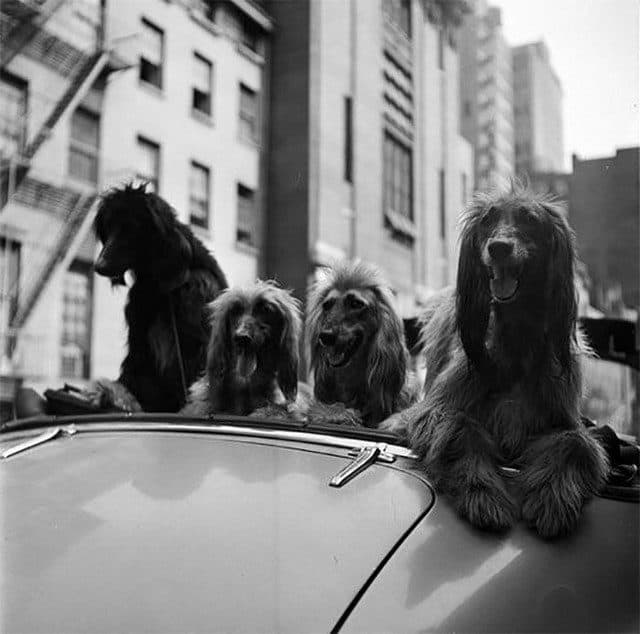 A 17-Year-Old Stanley Kubrick&#8217;s Photos Of 1940s New York