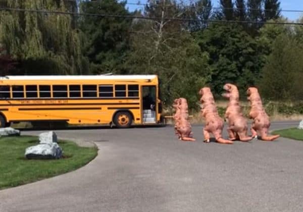 Watch This T-Rex Family Wait for the School Bus