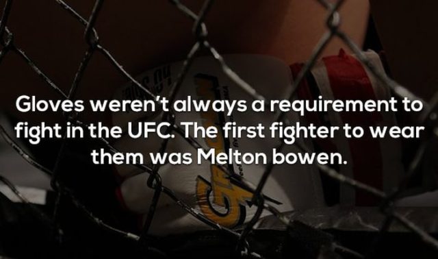 17 Interesting Facts about MMA and the UFC