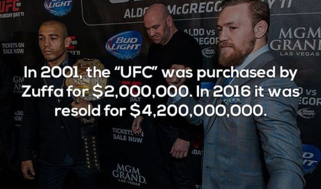 17 Interesting Facts about MMA and the UFC