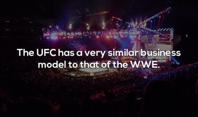 17 Interesting Facts about MMA and the UFC