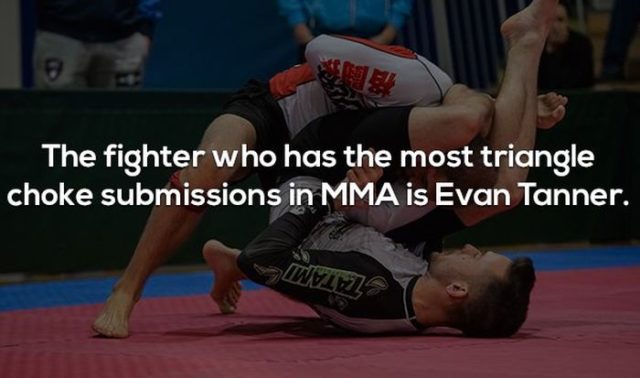 17 Interesting Facts about MMA and the UFC