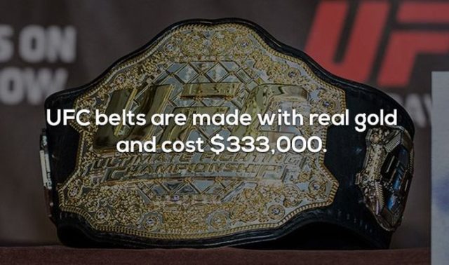 17 Interesting Facts about MMA and the UFC