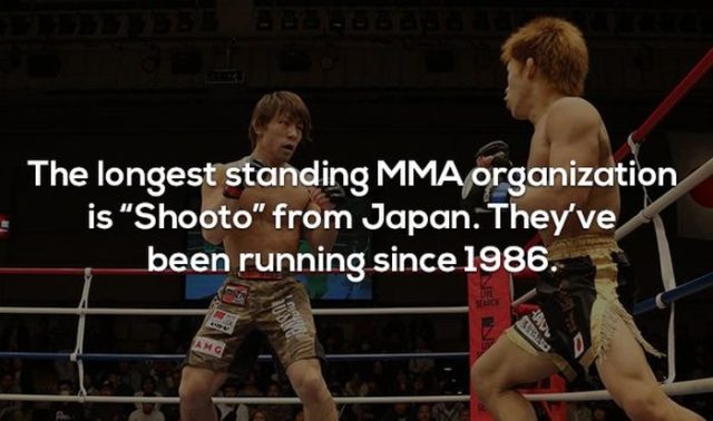 17 Interesting Facts about MMA and the UFC