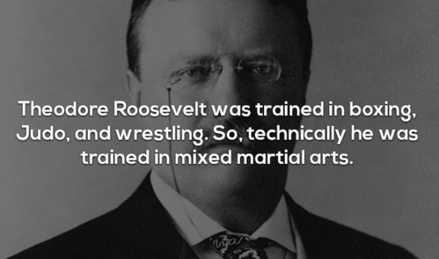 17 Interesting Facts about MMA and the UFC