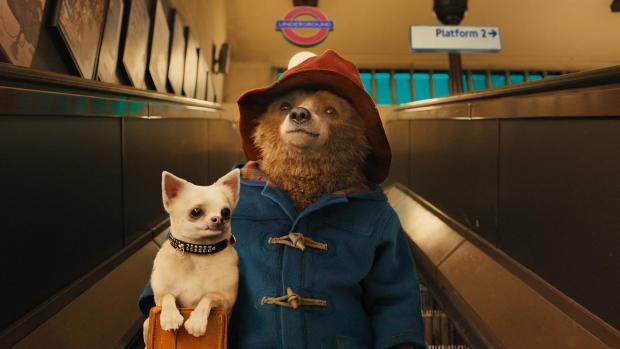 What We Learned from the Latest Paddington 2 Trailer