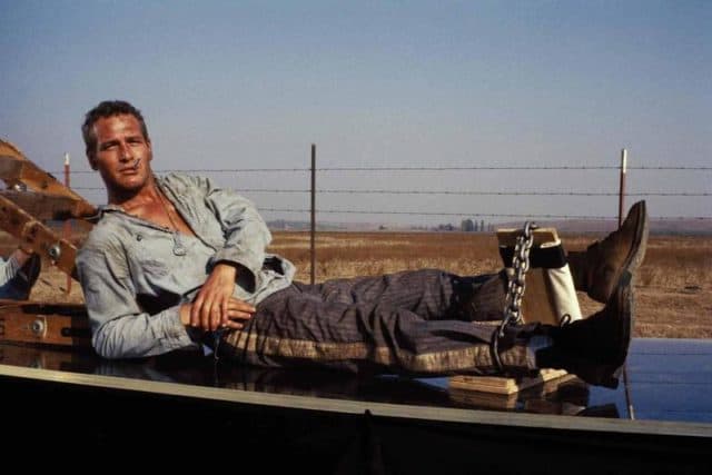 10 Things You Didn&#8217;t Know about &#8220;Cool Hand Luke&#8221;