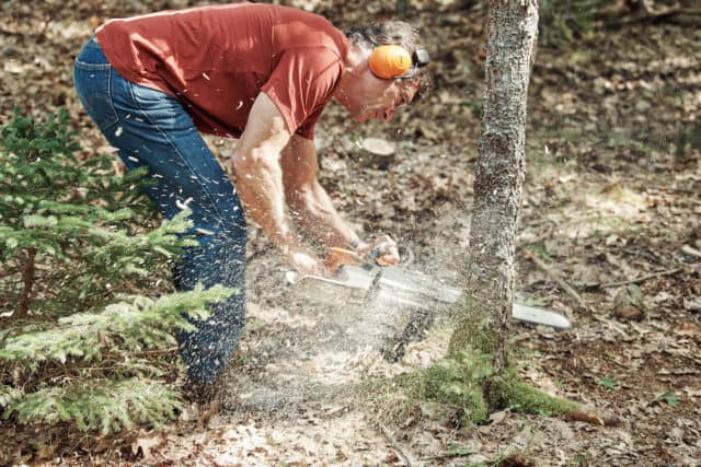 First Photos of Curse of Oak Island Season 5 Released