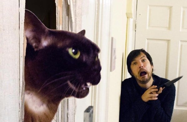 A Man and His Cat Recreate Famous Movie Scenes