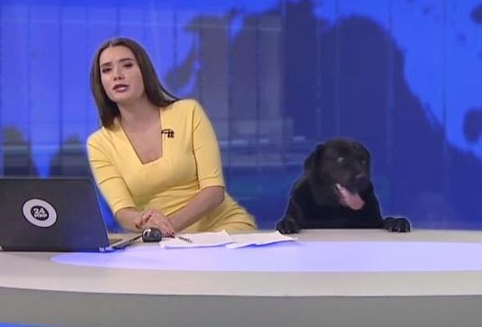 A Collection of the Best News Bloopers of 2017