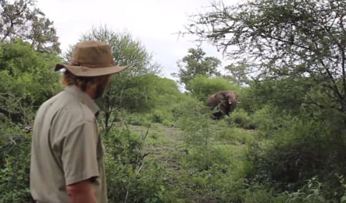 Watch This Guy Stare Down and Avoid an Elephant Charge