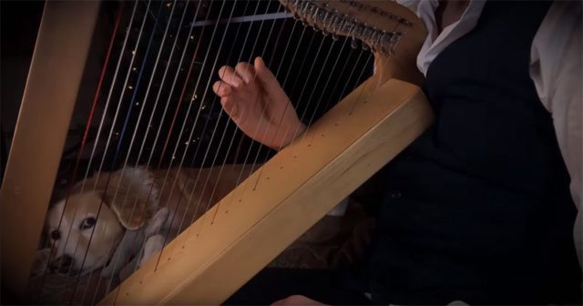 Carol of the Bells on a Harp Is Incredibly Soothing