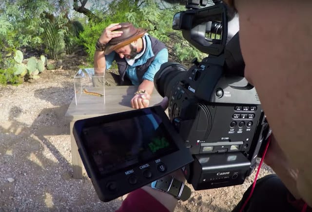 Coyote Peterson’s Bizarre Centipede Bite Experiment: Brave or Foolish?