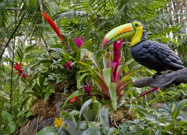 Disneyland’s Jungle Cruise is Now a Self Sustaining Ecosystem and Requires very Little Landscaping