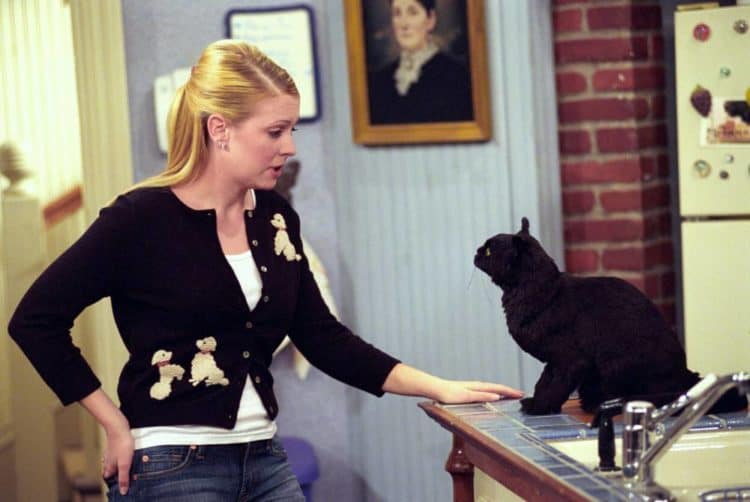 Woman Charged with Felony Unreturned Sabrina the Teenage Witch VHS Rental