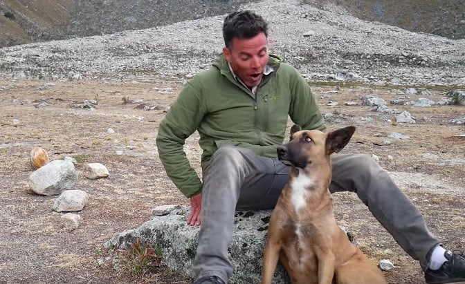 Steve-O Went To Peru To Find And Adopt A Street Dog