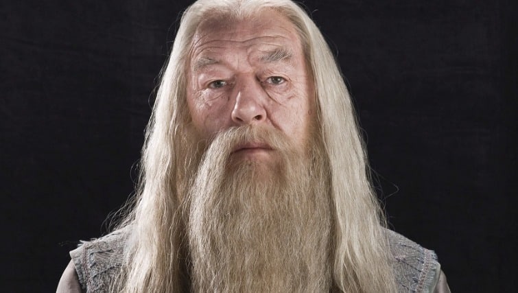 Why Is Dumbledore’s Sexuality Being Kept from the Big Screen?