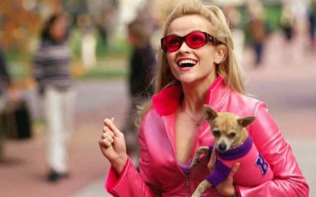 10 Things You Didn T Know About Legally Blonde