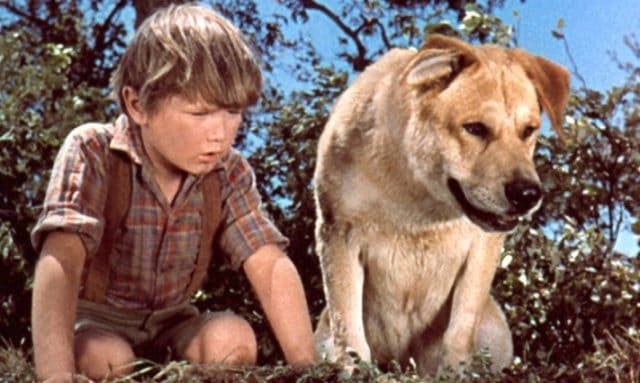 10 Things You Didn&#8217;t Know about &#8220;Old Yeller&#8221;