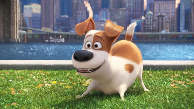 10 Things You Didn&#8217;t Know about &#8220;The Secret Life of Pets&#8221;