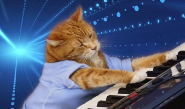 The Story of How Keyboard Cat First Went Viral