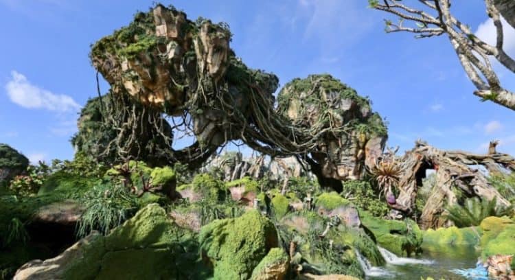Ranking the Best of Everything at Disney's Animal Kingdom